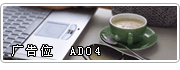 AD04 ����滻